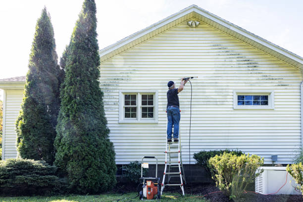 Pressure Washing Services for Businesses in North Lakes, AK