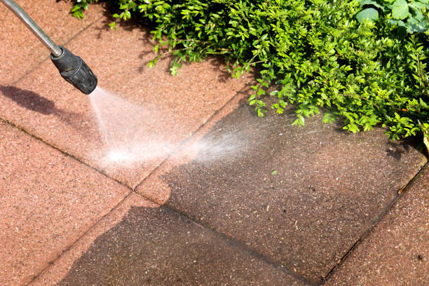  North Les, AK Pressure Washing Pros